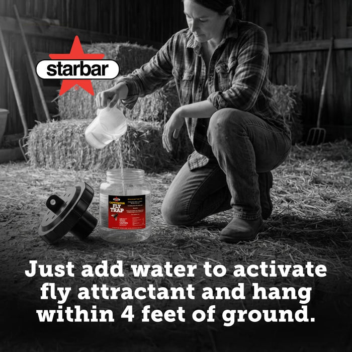 Starbar Captivator Fly Trap Reusable Insecticide-Free Fly Attractor 3-Pack