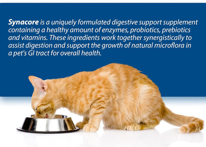 Synacore Digestive Support Cats 30 Stick Packs 1.5g Probiotics Enzymes Vitamins