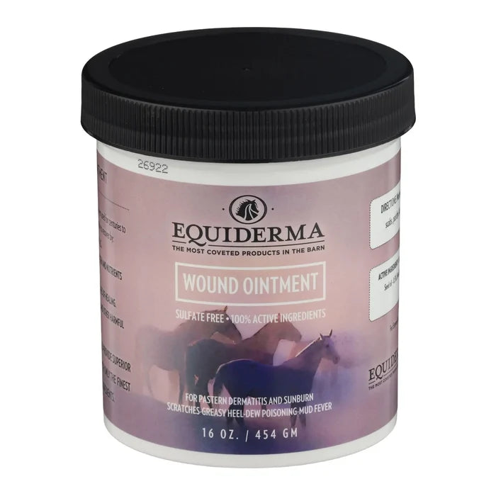 Telesis Equiderma Horse Wound Ointment 16 oz + 3M Gamgee Cotton Padding Wound Care Bundle