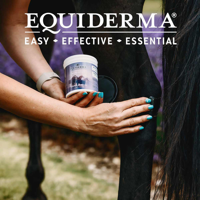 Telesis Equiderma Horse Wound Ointment 16 oz + 3M Gamgee Cotton Padding Wound Care Bundle