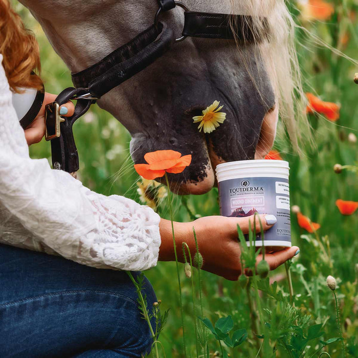 Telesis Equiderma Horse Wound Ointment 16 oz + 3M Gamgee Cotton Padding Wound Care Bundle