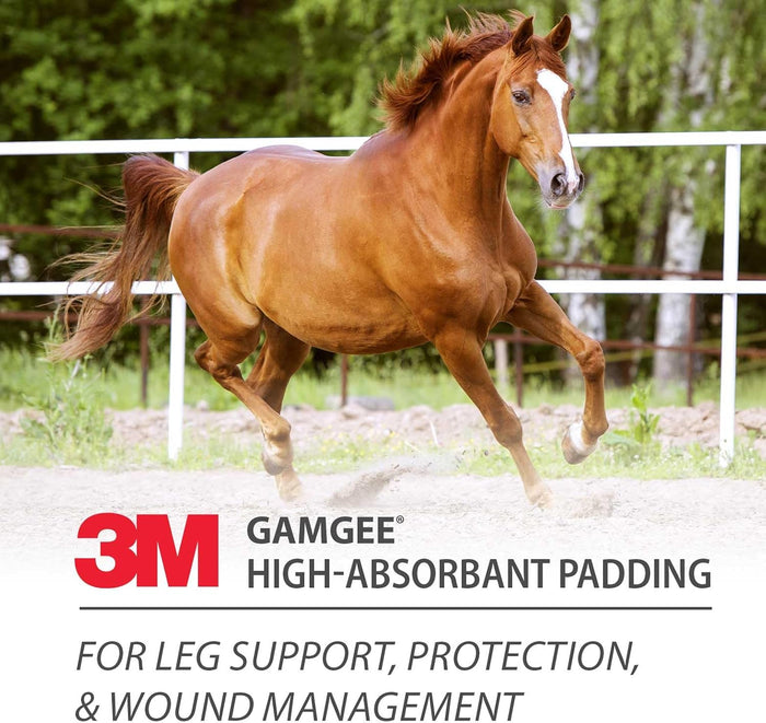 Telesis Equiderma Horse Wound Ointment 16 oz + 3M Gamgee Cotton Padding Wound Care Bundle