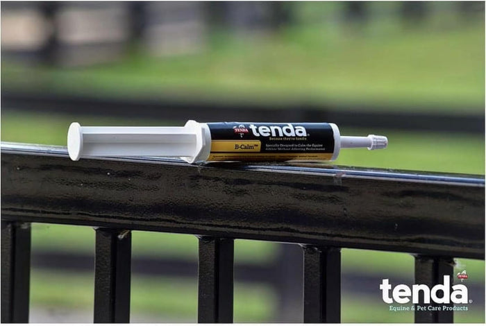 Tenda B-Calm Horse Paste Supplement with L-Tryptophan 30 cc