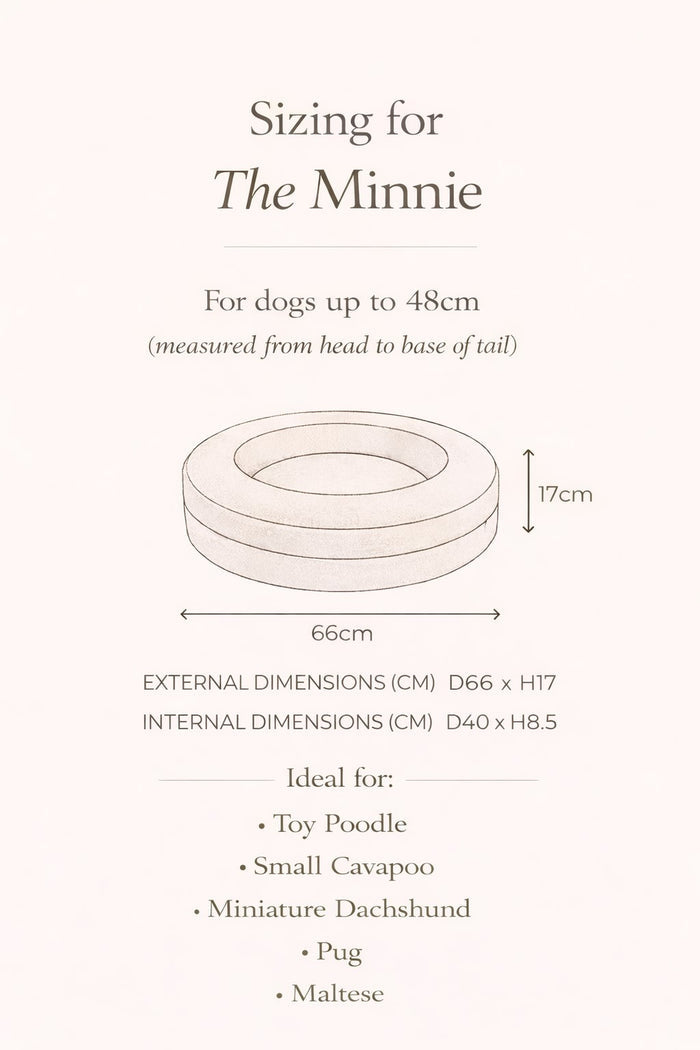 The Minnie