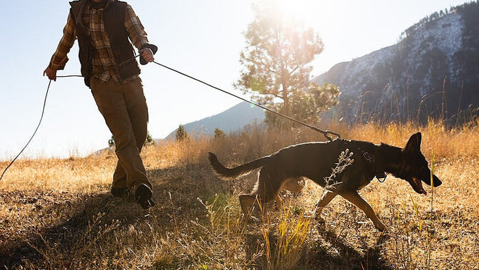 Tracking: Freedom to Hunt Style