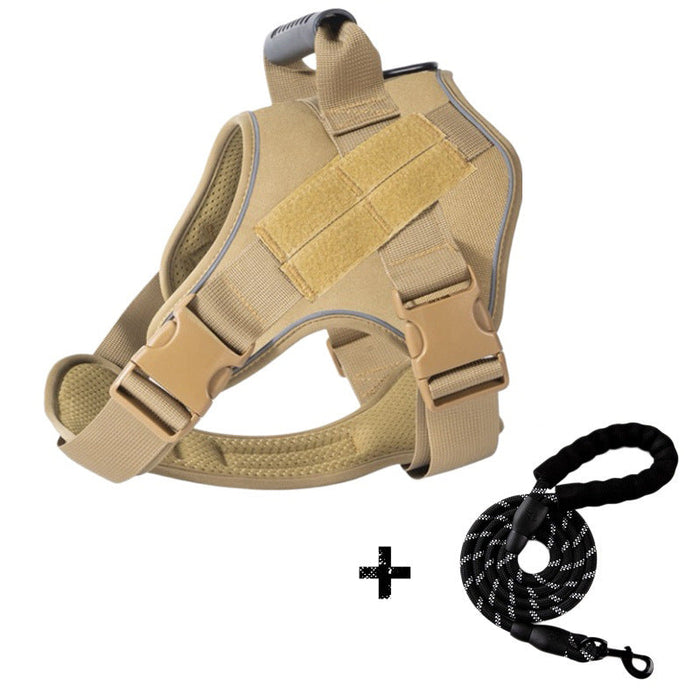 Khaki Leash / S