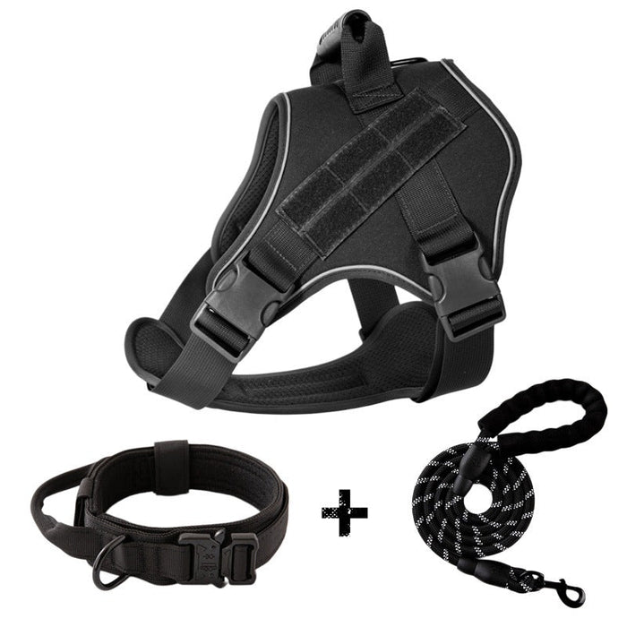 Black Leash And Collar / S