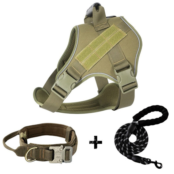 Army Green Leash And Collar / S