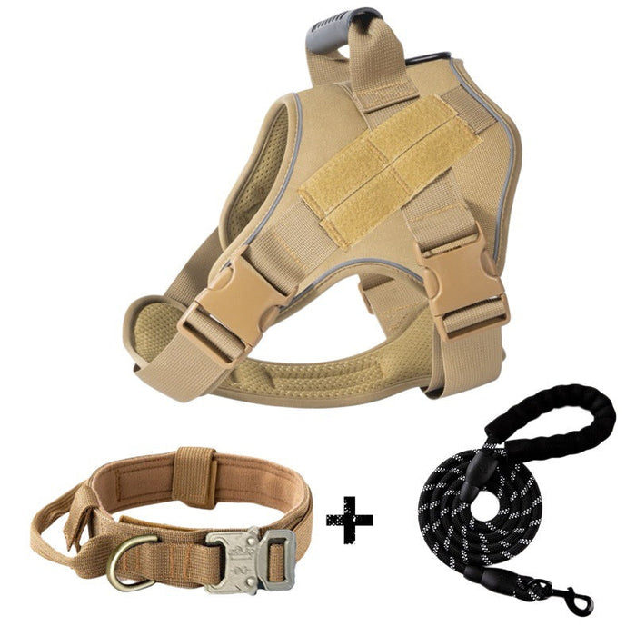 Khaki Leash And Collar / S
