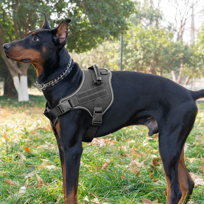 Traction Rope For Large Dogs Breathable Tactical Harness