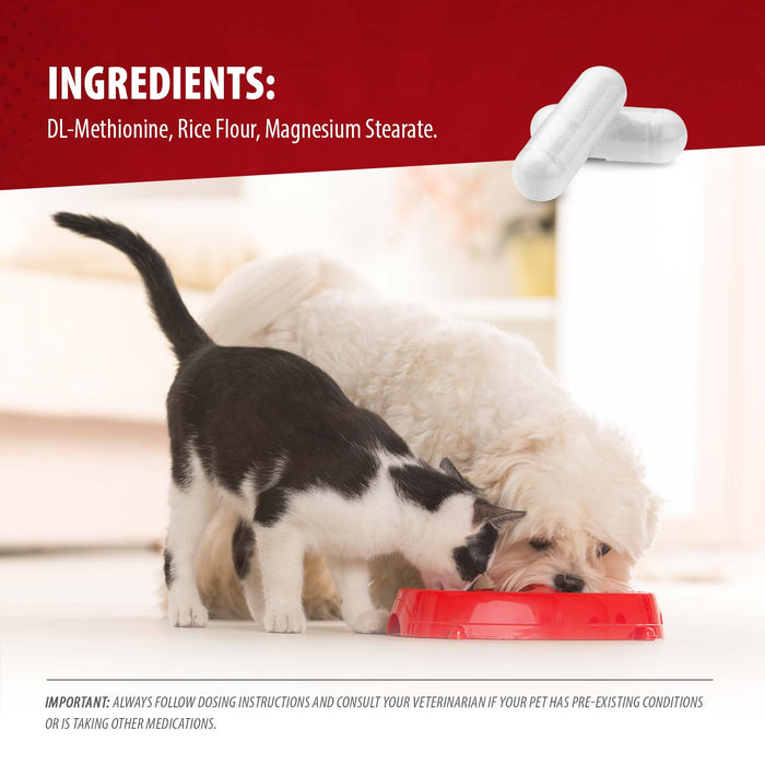 Uracid DL-Methionine 0.2g Capsules for Dogs & Cats – Supports Urinary Tract, Reduces Urine Odor, Prevents Stones