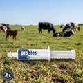 Vets Plus Probios Bovine One Oral Probiotic Livestock Gel 60g