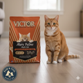 VICTOR Mers Feline High Protein Dry Cat Food 5 lb All Life Stages