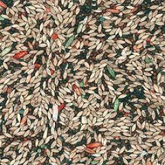 Vita Premium Canary Bird Seed 20lbs. Vitamin & Mineral Fortified Blend for Healthy Canaries
