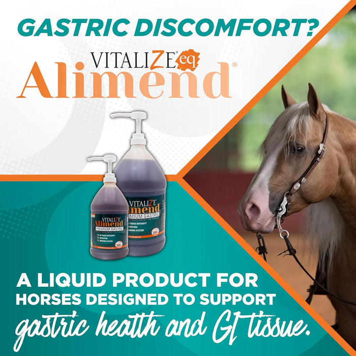 Vitalize Alimend Horse Digestive Supplement Gastric Support 64 oz.