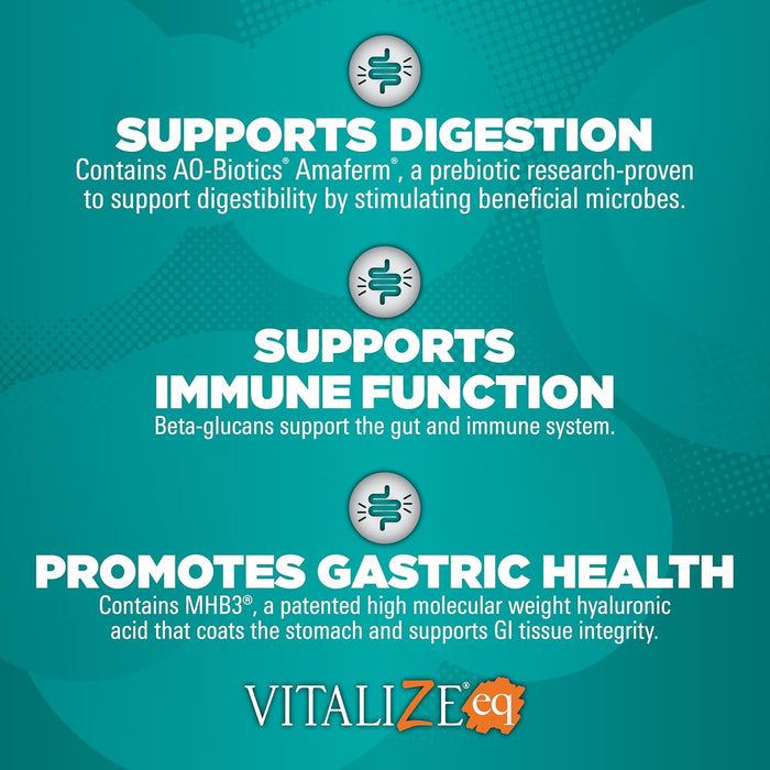 Vitalize Alimend Horse Digestive Supplement Gastric Support 64 oz.