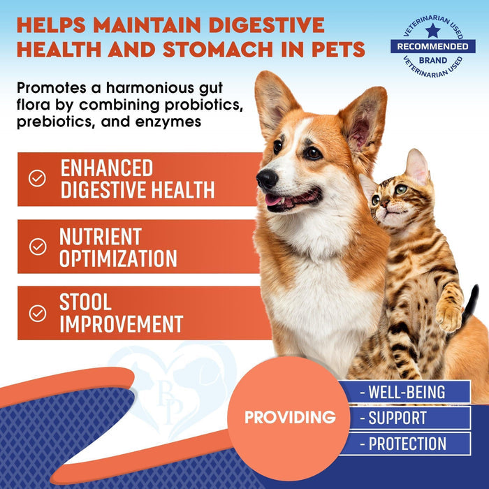 Wellness Natural Vitamins & Supplements for Dogs & Cats