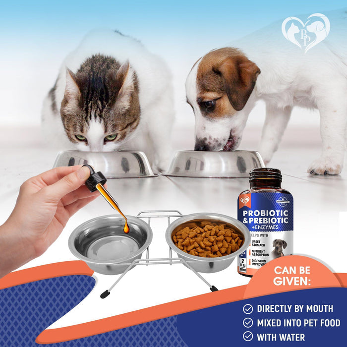 Wellness Natural Vitamins & Supplements for Dogs & Cats