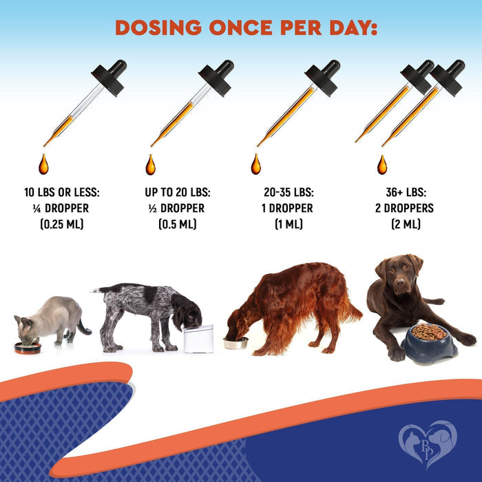 Wellness Natural Vitamins & Supplements for Dogs & Cats