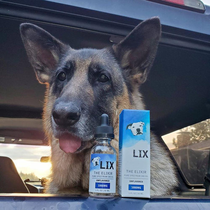 German Shepard Dog with The Elixir CBD oil for pets 1000mg tincture