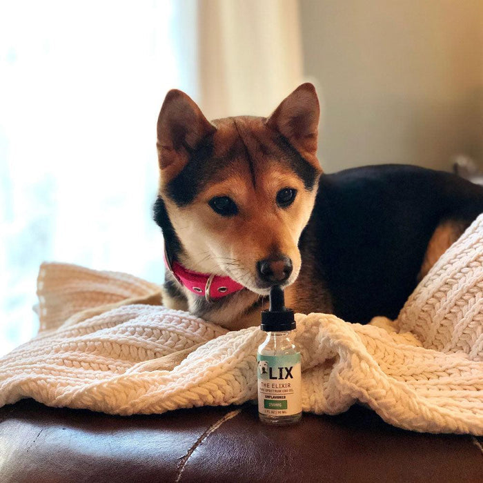 Shiba Inu beside LIX ELIXIR 250mg wellness oil for anxiety, inflammation & mobility