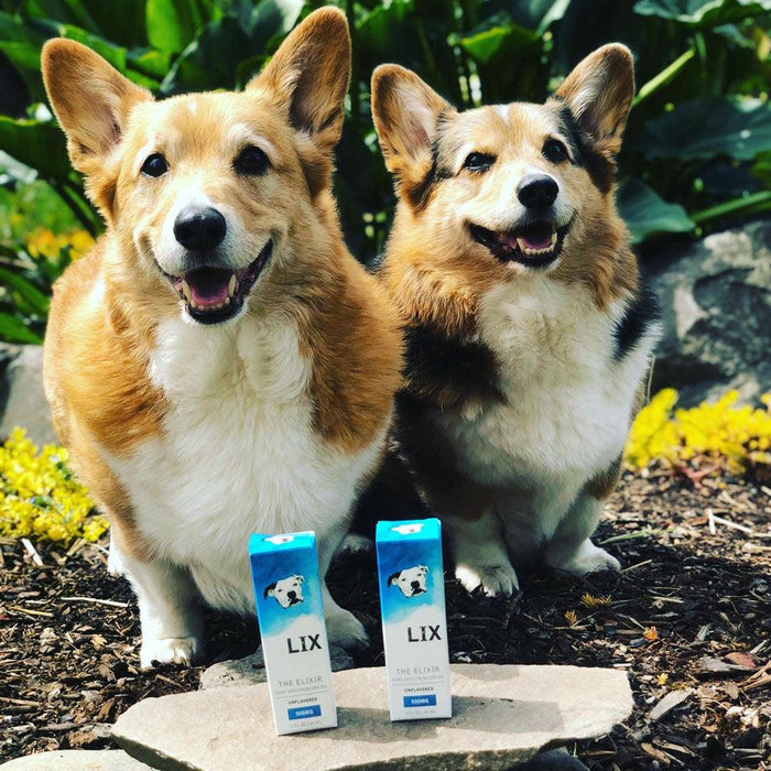 Wholesale 4 Pack <br> THE ELIXIR - 500mg - Natural Pet Lix