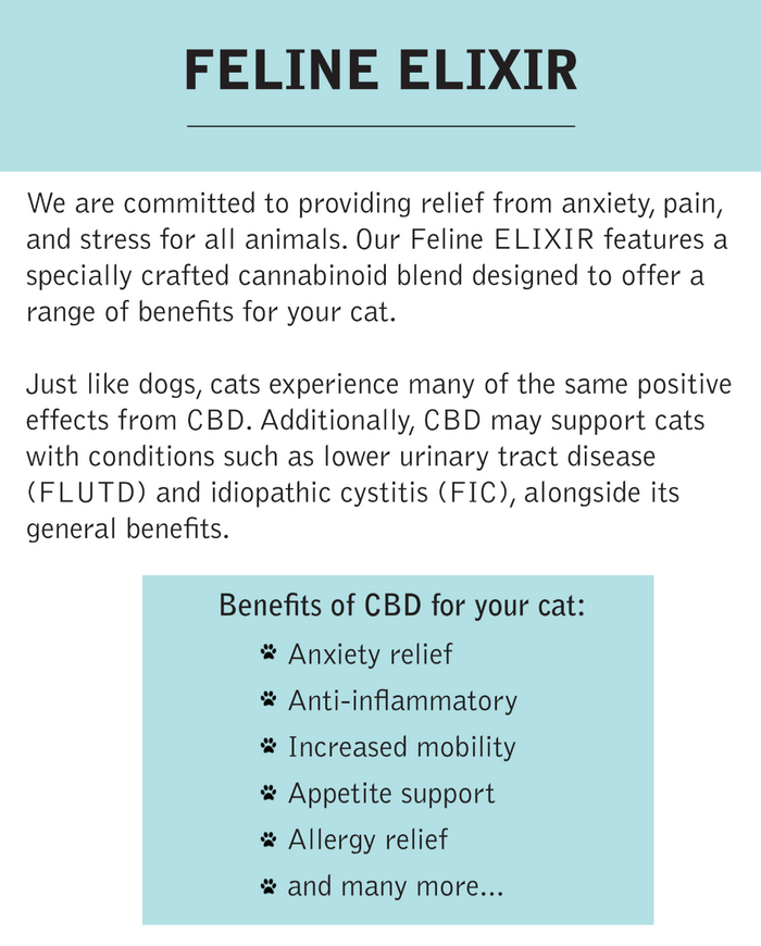 Wholesale 4 Pack - ELIXIR - FELINE 250mg - LIX