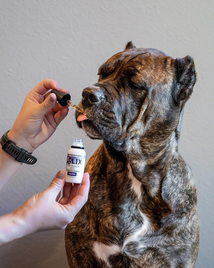 Wholesale 4 Pack - ELIXIR - LARGE BREED 2500mg - LIX