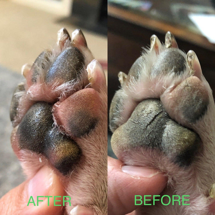 Before and after of dog paws with LIX Healer Organic Healing Balm