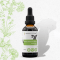 Wolf's Immune Boost - Healthy Immunity Support in Dogs