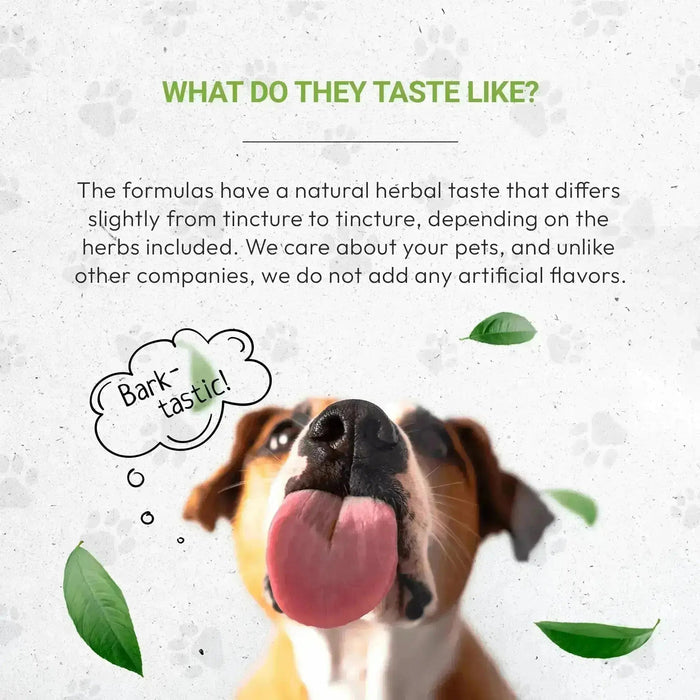 Wolf's Urinary - Healthy Urinary System Support in Dogs