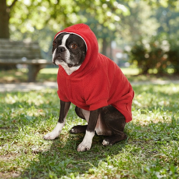 Zack & Zoey Fleece-Lined Dog Cotton Blend Apparel Hoodie X-Large Red