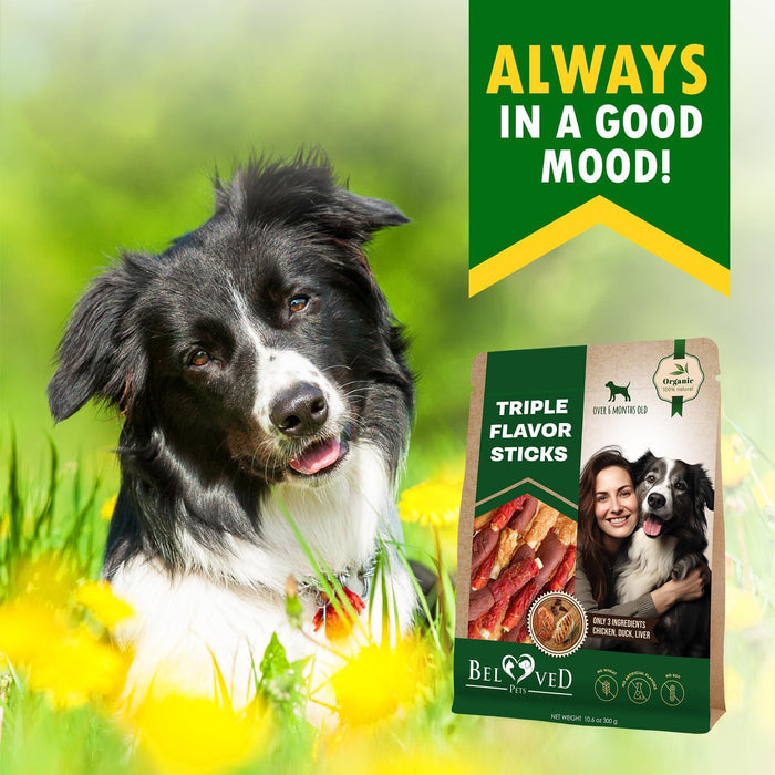 Zamzamas Grain-Free Dog Treats — Beef, Chicken & Duck Jerky Bites
