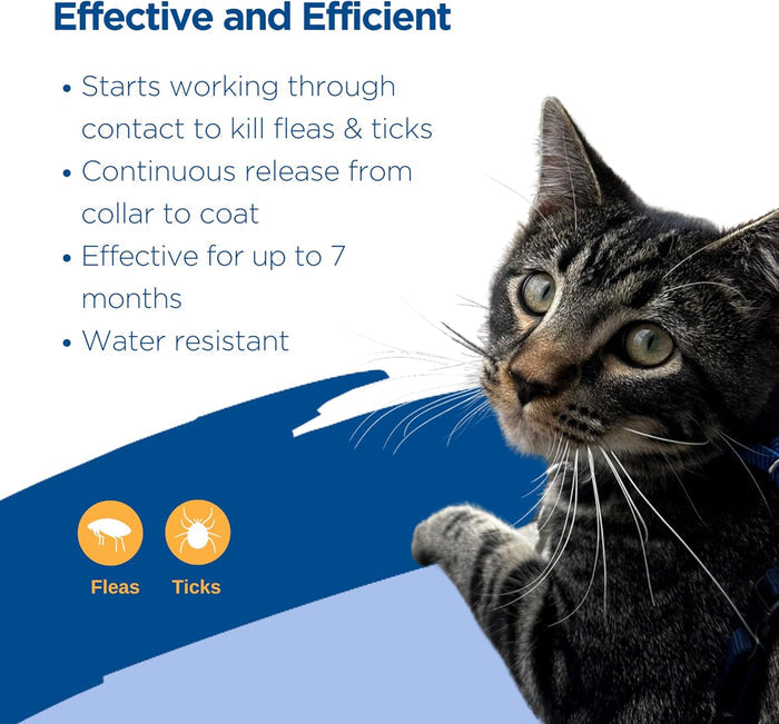 Zodiac Breakaway Flea & Tick Collar for Cats Up to 7 Months Protection 2-Pack